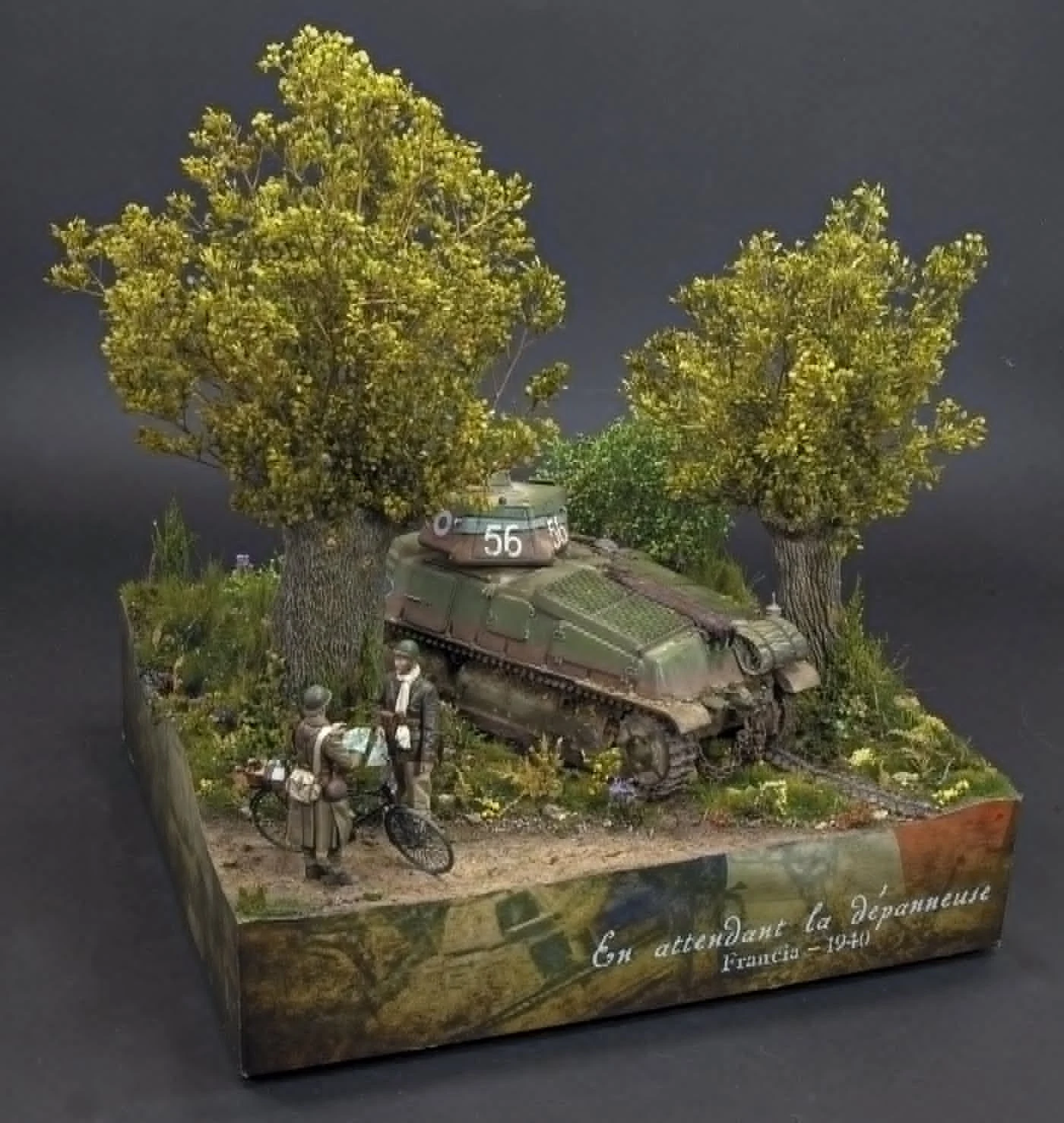 Diorama con vegetación y composición escénica de Jorge Porto del Corral